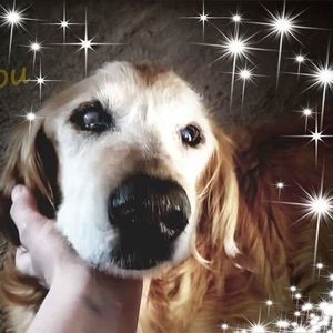 Meet your Posher, Laura lynn